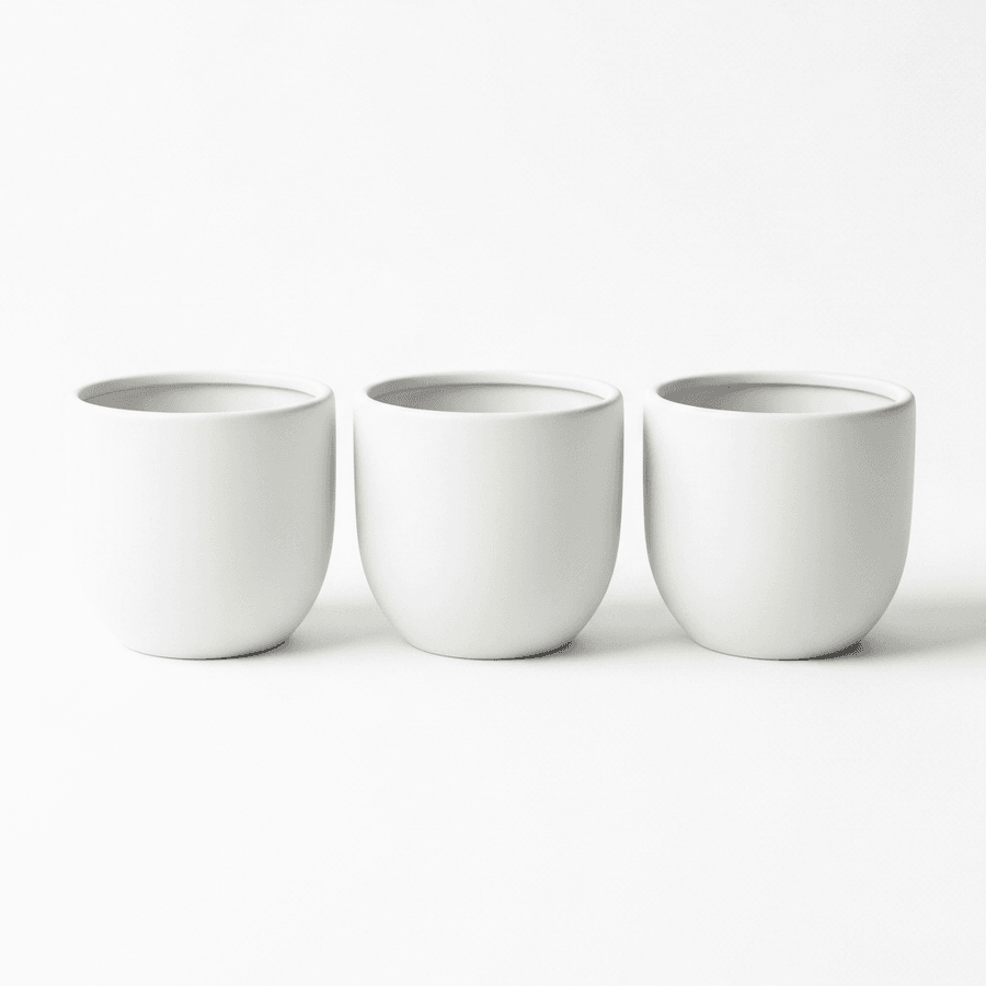 Ceramic Planter Trio